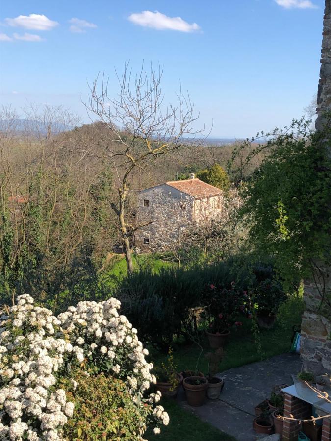 كابانّوري Dolce Vita In Tuscany B&B المظهر الخارجي الصورة